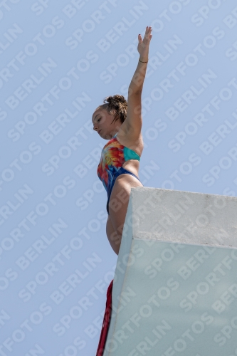 2017 - 8. Sofia Diving Cup 2017 - 8. Sofia Diving Cup 03012_19722.jpg