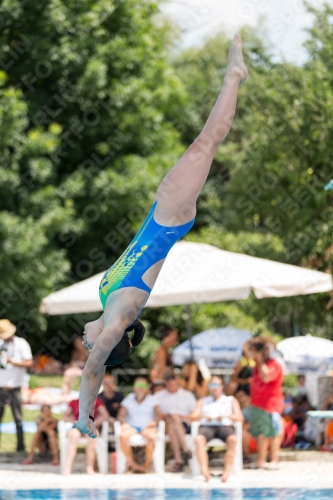2017 - 8. Sofia Diving Cup 2017 - 8. Sofia Diving Cup 03012_19732.jpg