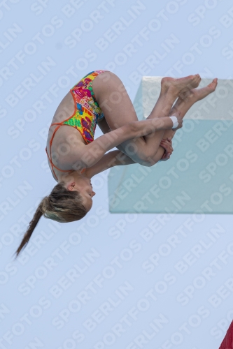 2017 - 8. Sofia Diving Cup 2017 - 8. Sofia Diving Cup 03012_19755.jpg