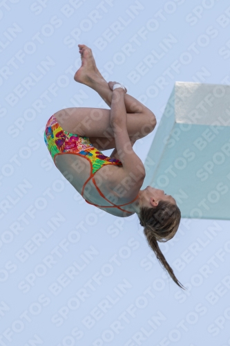 2017 - 8. Sofia Diving Cup 2017 - 8. Sofia Diving Cup 03012_19756.jpg