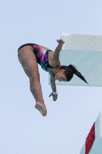 2017 - 8. Sofia Diving Cup 2017 - 8. Sofia Diving Cup 03012_19761.jpg