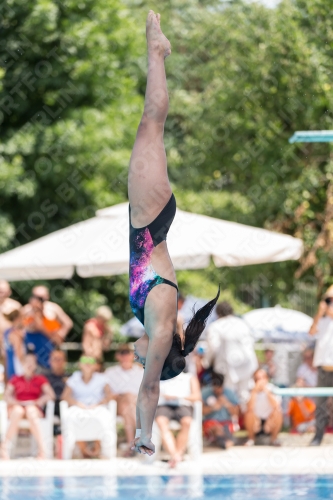 2017 - 8. Sofia Diving Cup 2017 - 8. Sofia Diving Cup 03012_19763.jpg