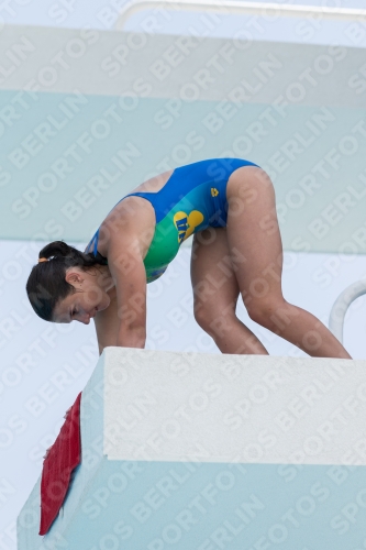 2017 - 8. Sofia Diving Cup 2017 - 8. Sofia Diving Cup 03012_19773.jpg