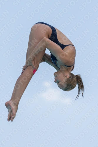 2017 - 8. Sofia Diving Cup 2017 - 8. Sofia Diving Cup 03012_19778.jpg