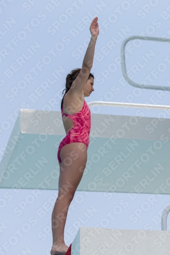 2017 - 8. Sofia Diving Cup 2017 - 8. Sofia Diving Cup 03012_19782.jpg