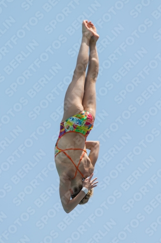 2017 - 8. Sofia Diving Cup 2017 - 8. Sofia Diving Cup 03012_19795.jpg