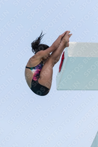 2017 - 8. Sofia Diving Cup 2017 - 8. Sofia Diving Cup 03012_19802.jpg