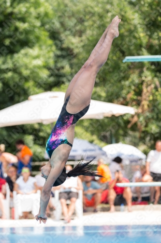 2017 - 8. Sofia Diving Cup 2017 - 8. Sofia Diving Cup 03012_19804.jpg