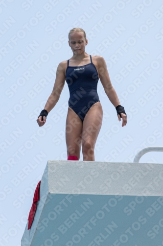 2017 - 8. Sofia Diving Cup 2017 - 8. Sofia Diving Cup 03012_19821.jpg
