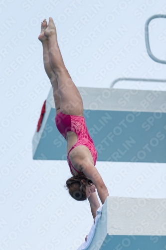 2017 - 8. Sofia Diving Cup 2017 - 8. Sofia Diving Cup 03012_19826.jpg