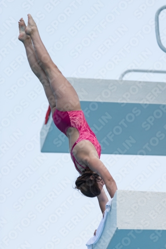 2017 - 8. Sofia Diving Cup 2017 - 8. Sofia Diving Cup 03012_19827.jpg