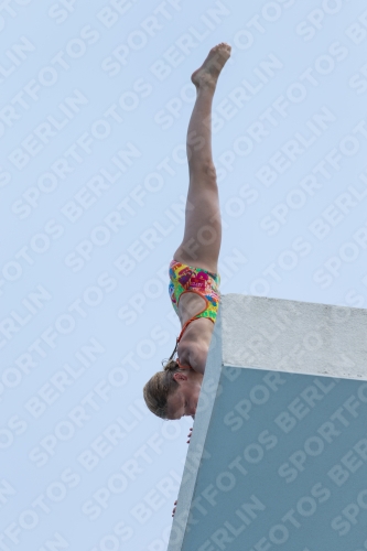 2017 - 8. Sofia Diving Cup 2017 - 8. Sofia Diving Cup 03012_19835.jpg