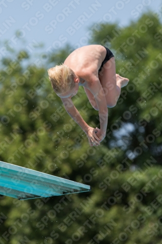 2017 - 8. Sofia Diving Cup 2017 - 8. Sofia Diving Cup 03012_19897.jpg