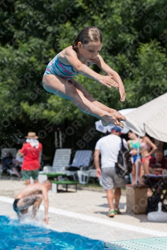 2017 - 8. Sofia Diving Cup 2017 - 8. Sofia Diving Cup 03012_19907.jpg