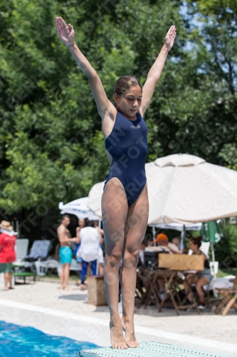 2017 - 8. Sofia Diving Cup 2017 - 8. Sofia Diving Cup 03012_19914.jpg