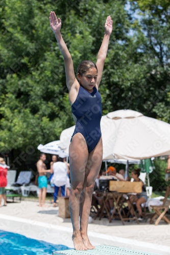 2017 - 8. Sofia Diving Cup 2017 - 8. Sofia Diving Cup 03012_19915.jpg