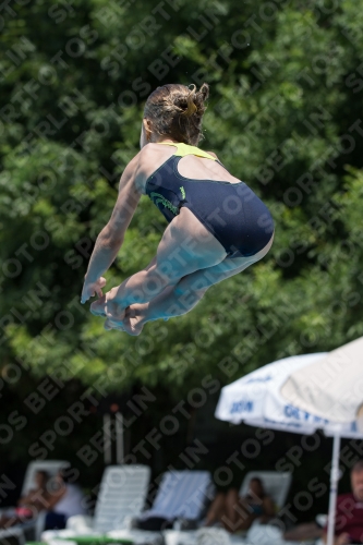 2017 - 8. Sofia Diving Cup 2017 - 8. Sofia Diving Cup 03012_19924.jpg