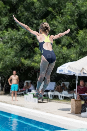 2017 - 8. Sofia Diving Cup 2017 - 8. Sofia Diving Cup 03012_19925.jpg