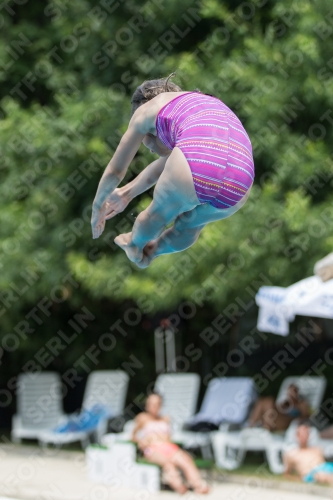 2017 - 8. Sofia Diving Cup 2017 - 8. Sofia Diving Cup 03012_19936.jpg