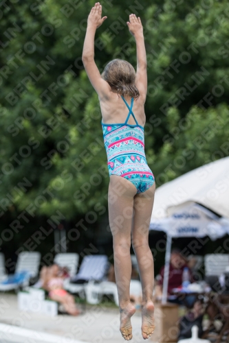 2017 - 8. Sofia Diving Cup 2017 - 8. Sofia Diving Cup 03012_19940.jpg