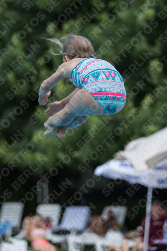 2017 - 8. Sofia Diving Cup 2017 - 8. Sofia Diving Cup 03012_19942.jpg
