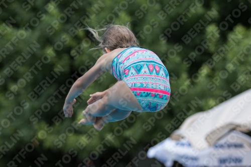 2017 - 8. Sofia Diving Cup 2017 - 8. Sofia Diving Cup 03012_19943.jpg