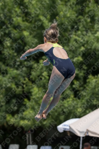 2017 - 8. Sofia Diving Cup 2017 - 8. Sofia Diving Cup 03012_19953.jpg