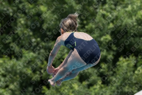 2017 - 8. Sofia Diving Cup 2017 - 8. Sofia Diving Cup 03012_19954.jpg