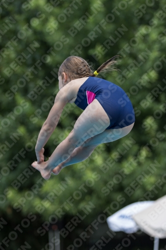 2017 - 8. Sofia Diving Cup 2017 - 8. Sofia Diving Cup 03012_19959.jpg