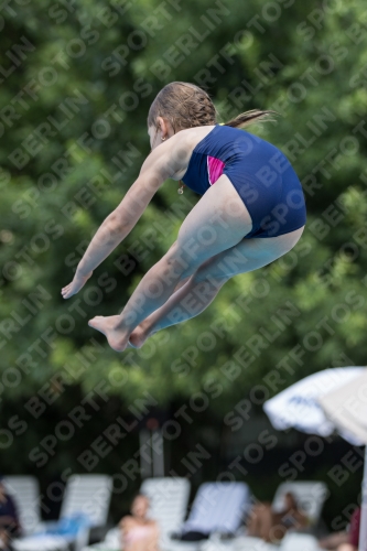 2017 - 8. Sofia Diving Cup 2017 - 8. Sofia Diving Cup 03012_19960.jpg