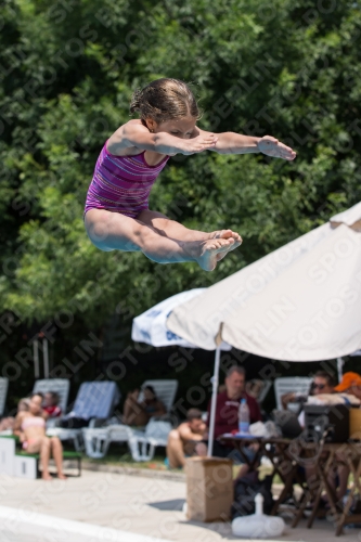 2017 - 8. Sofia Diving Cup 2017 - 8. Sofia Diving Cup 03012_19978.jpg