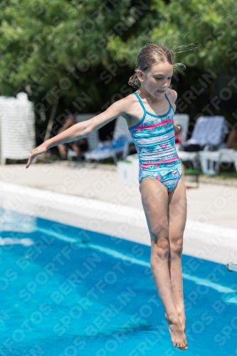 2017 - 8. Sofia Diving Cup 2017 - 8. Sofia Diving Cup 03012_19992.jpg