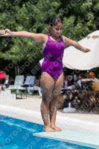 2017 - 8. Sofia Diving Cup 2017 - 8. Sofia Diving Cup 03012_19998.jpg