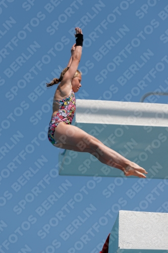 2017 - 8. Sofia Diving Cup 2017 - 8. Sofia Diving Cup 03012_20028.jpg