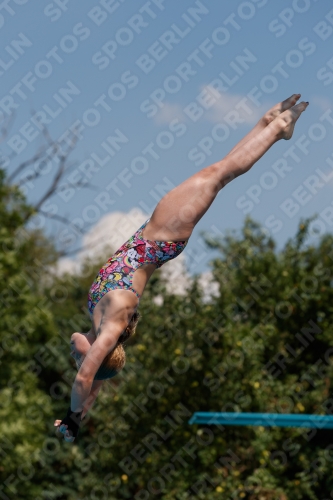2017 - 8. Sofia Diving Cup 2017 - 8. Sofia Diving Cup 03012_20035.jpg
