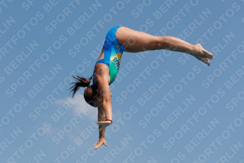 2017 - 8. Sofia Diving Cup 2017 - 8. Sofia Diving Cup 03012_20046.jpg