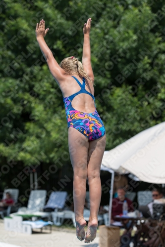 2017 - 8. Sofia Diving Cup 2017 - 8. Sofia Diving Cup 03012_20067.jpg