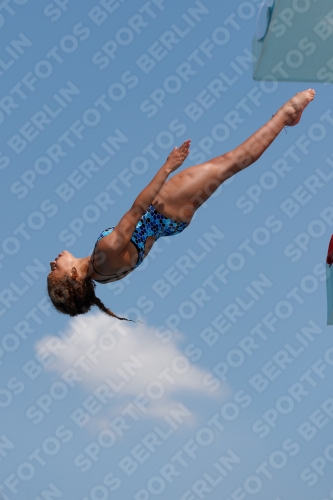2017 - 8. Sofia Diving Cup 2017 - 8. Sofia Diving Cup 03012_20091.jpg