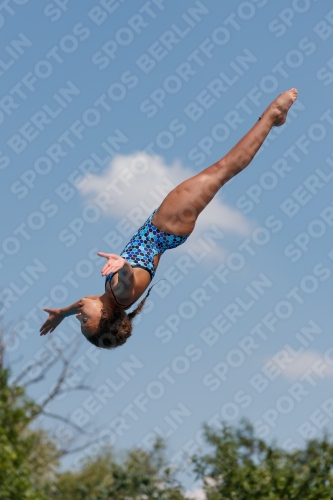 2017 - 8. Sofia Diving Cup 2017 - 8. Sofia Diving Cup 03012_20093.jpg
