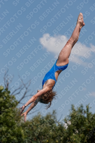 2017 - 8. Sofia Diving Cup 2017 - 8. Sofia Diving Cup 03012_20114.jpg