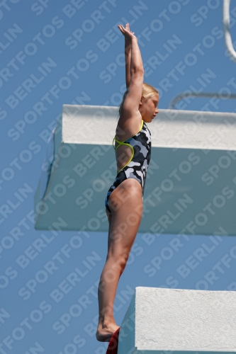 2017 - 8. Sofia Diving Cup 2017 - 8. Sofia Diving Cup 03012_20126.jpg