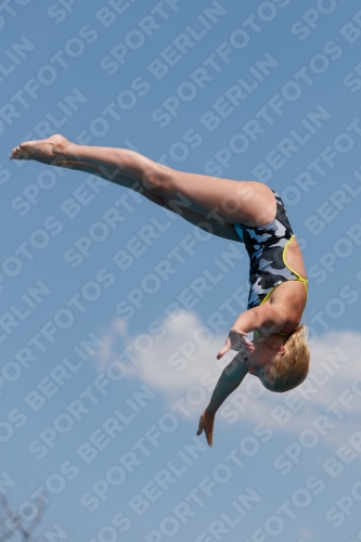 2017 - 8. Sofia Diving Cup 2017 - 8. Sofia Diving Cup 03012_20129.jpg