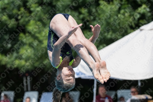 2017 - 8. Sofia Diving Cup 2017 - 8. Sofia Diving Cup 03012_20136.jpg