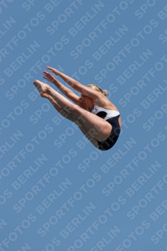 2017 - 8. Sofia Diving Cup 2017 - 8. Sofia Diving Cup 03012_20152.jpg