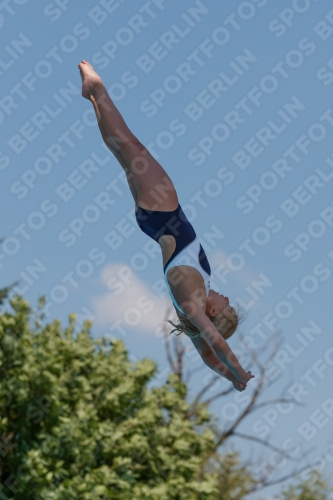 2017 - 8. Sofia Diving Cup 2017 - 8. Sofia Diving Cup 03012_20155.jpg