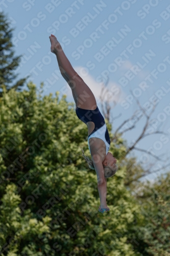2017 - 8. Sofia Diving Cup 2017 - 8. Sofia Diving Cup 03012_20156.jpg
