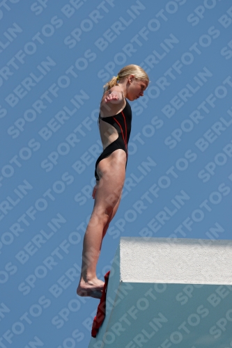 2017 - 8. Sofia Diving Cup 2017 - 8. Sofia Diving Cup 03012_20159.jpg