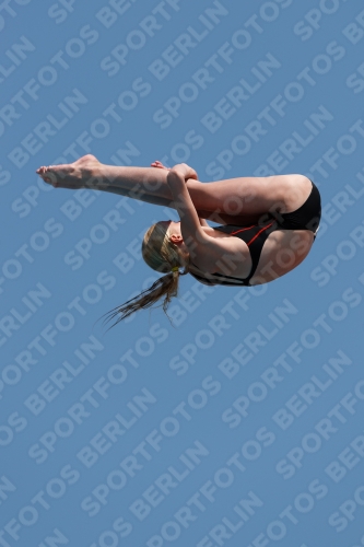 2017 - 8. Sofia Diving Cup 2017 - 8. Sofia Diving Cup 03012_20165.jpg