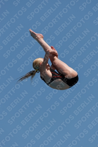 2017 - 8. Sofia Diving Cup 2017 - 8. Sofia Diving Cup 03012_20166.jpg