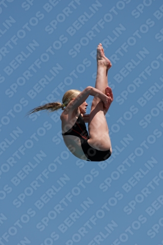 2017 - 8. Sofia Diving Cup 2017 - 8. Sofia Diving Cup 03012_20167.jpg